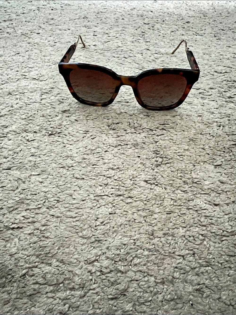 Tortoiseshell Sunglasses in Brown & Gold